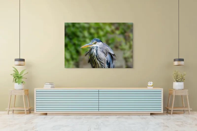 Tablou Canvas, "Aripa albastră în zbor verde", Pasăre, Penaj, Albastru, Cioc, Natură, Ochi, Verde, Detaliu, Elegant, Observație, 150 x 100 cm – poza 6