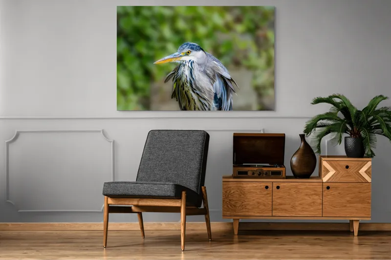 Tablou Canvas, "Aripa albastră în zbor verde", Pasăre, Penaj, Albastru, Cioc, Natură, Ochi, Verde, Detaliu, Elegant, Observație, 150 x 100 cm – poza 8