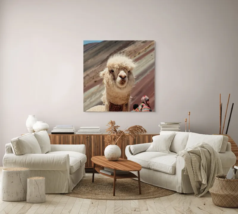 Tablou Canvas, "Alpaca la munte colorat inalt", 100 x 100 cm – poza 3
