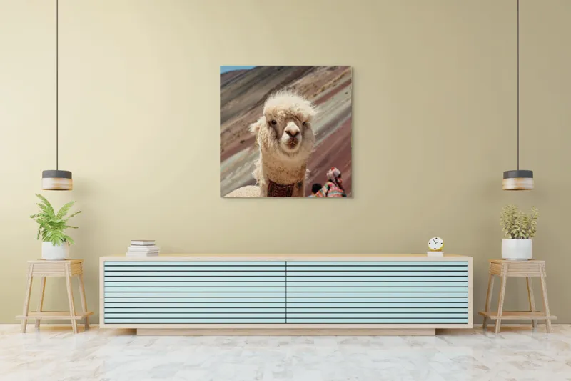 Tablou Canvas, "Alpaca la munte colorat inalt", 100 x 100 cm – poza 5