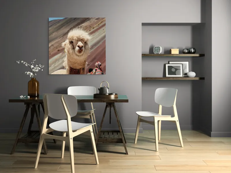 Tablou Canvas, "Alpaca la munte colorat inalt", 100 x 100 cm – poza 6