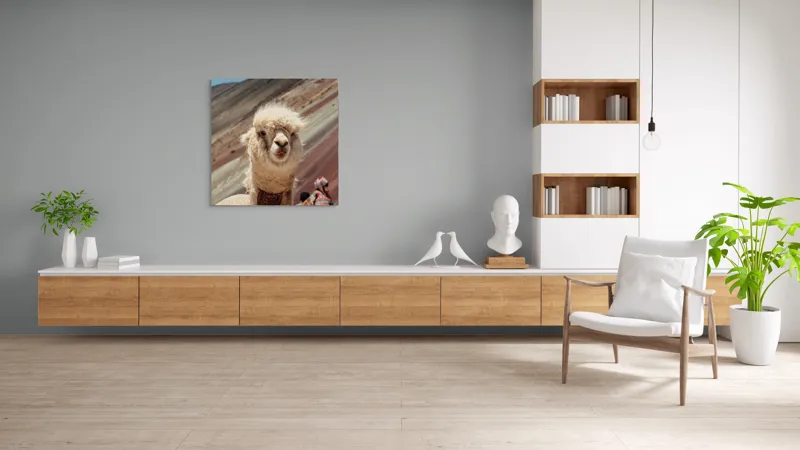 Tablou Canvas, "Alpaca la munte colorat inalt", 100 x 100 cm – poza 8