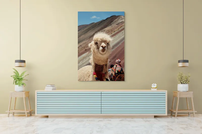 Tablou Canvas, "Alpaca la munte colorat inalt", 100 x 150 cm – poza 4