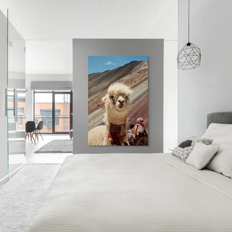 Tablou Canvas, "Alpaca la munte colorat inalt", 100 x 150 cm – poza 5