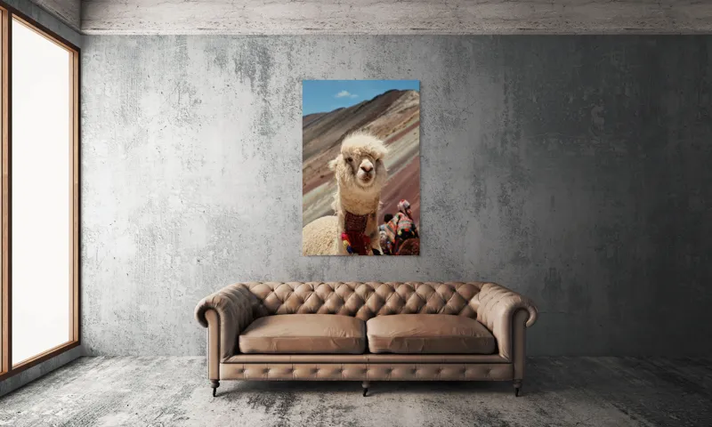 Tablou Canvas, "Alpaca la munte colorat inalt", 100 x 150 cm – poza 6