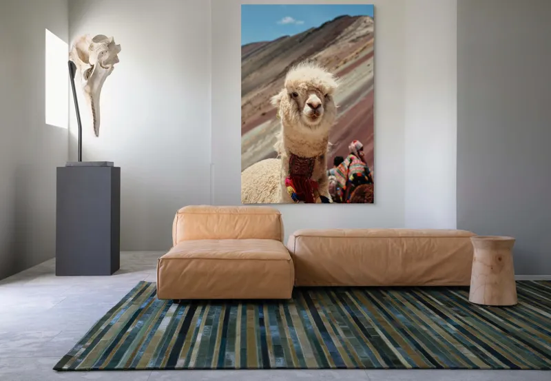 Tablou Canvas, "Alpaca la munte colorat inalt", 100 x 150 cm – poza 7