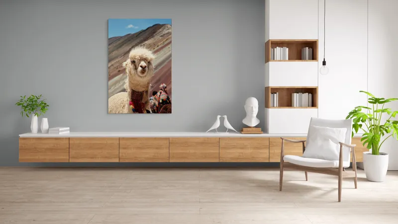 Tablou Canvas, "Alpaca la munte colorat inalt", 100 x 150 cm – poza 8