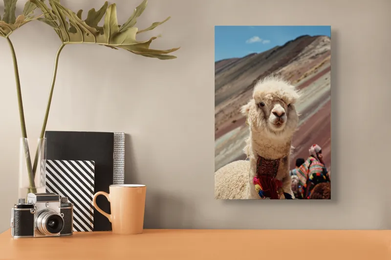 Tablou Canvas, "Alpaca la munte colorat inalt", 26 x 39 cm – poza 3