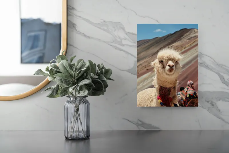 Tablou Canvas, "Alpaca la munte colorat inalt", 26 x 39 cm – poza 4