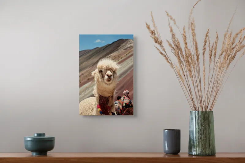 Tablou Canvas, "Alpaca la munte colorat inalt", 26 x 39 cm – poza 5