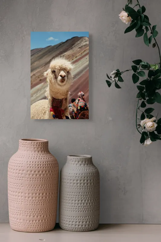 Tablou Canvas, "Alpaca la munte colorat inalt", 26 x 39 cm – poza 6