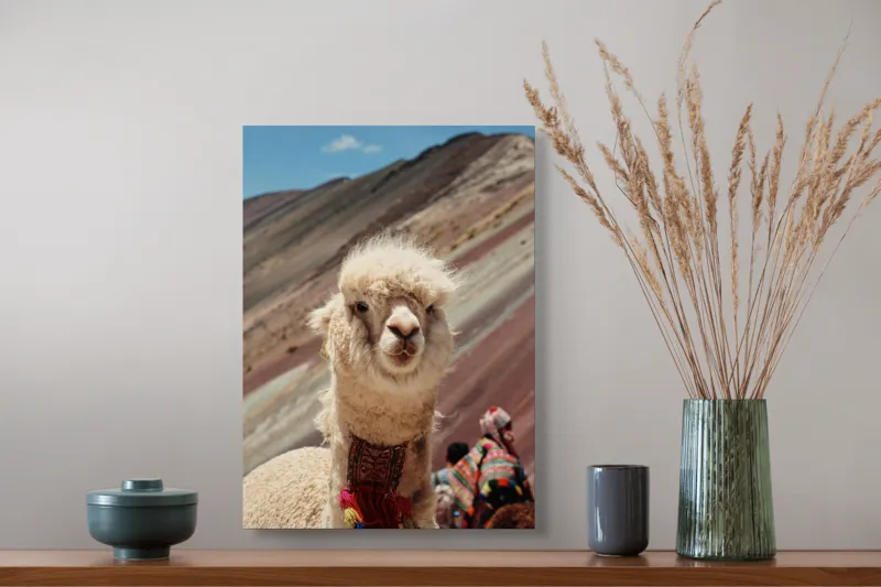 Tablou Canvas, "Alpaca la munte colorat inalt", 39 x 54 cm – poza 3