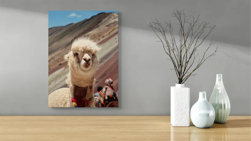 Tablou Canvas, "Alpaca la munte colorat inalt", 39 x 54 cm – poza 4