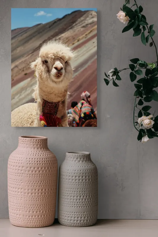 Tablou Canvas, "Alpaca la munte colorat inalt", 39 x 54 cm – poza 6
