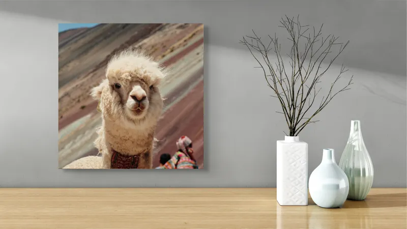 Tablou Canvas, "Alpaca la munte colorat inalt", 50 x 50 cm – poza 3