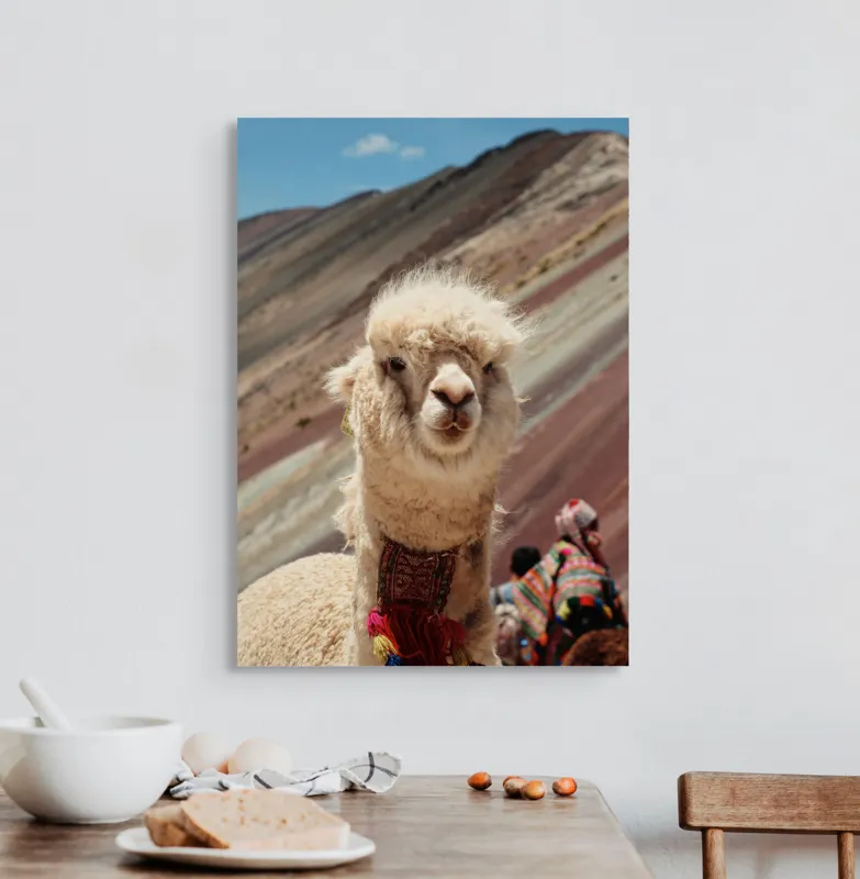 Tablou Canvas, "Alpaca la munte colorat inalt", 50 x 70 cm – poza 3