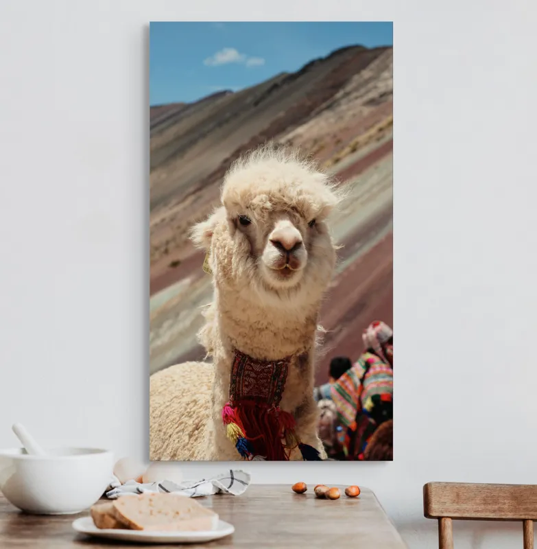 Tablou Canvas, "Alpaca la munte colorat inalt", 50 x 90 cm – poza 3