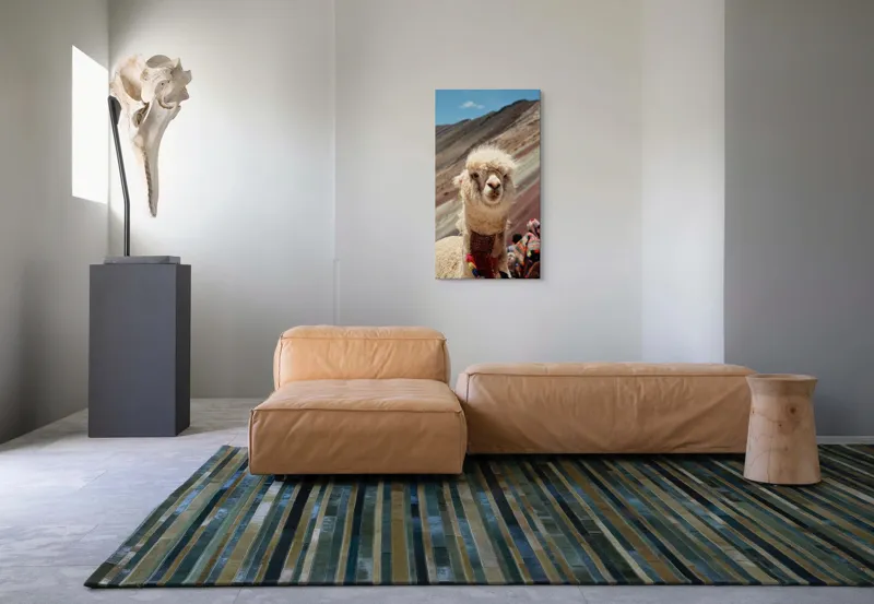 Tablou Canvas, "Alpaca la munte colorat inalt", 50 x 90 cm – poza 5