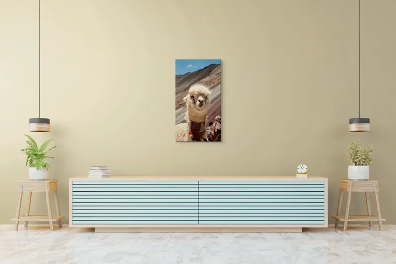 Tablou Canvas, "Alpaca la munte colorat inalt", 50 x 90 cm – poza 6