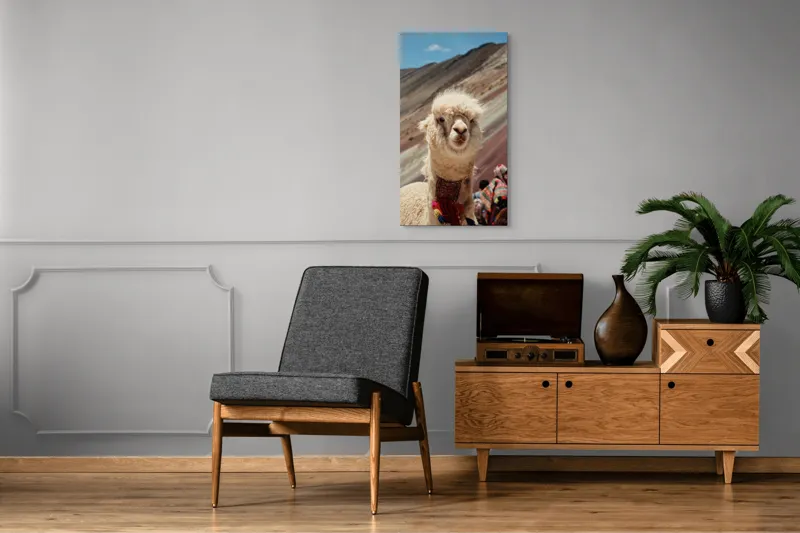 Tablou Canvas, "Alpaca la munte colorat inalt", 50 x 90 cm – poza 8
