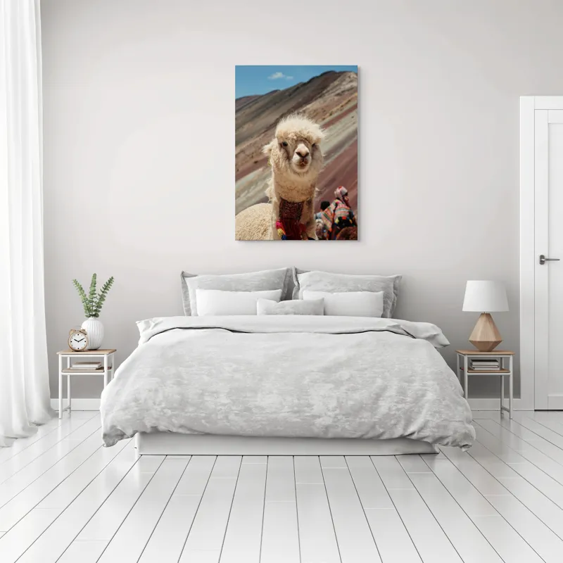 Tablou Canvas, "Alpaca la munte colorat inalt", 70 x 100 cm – poza 3