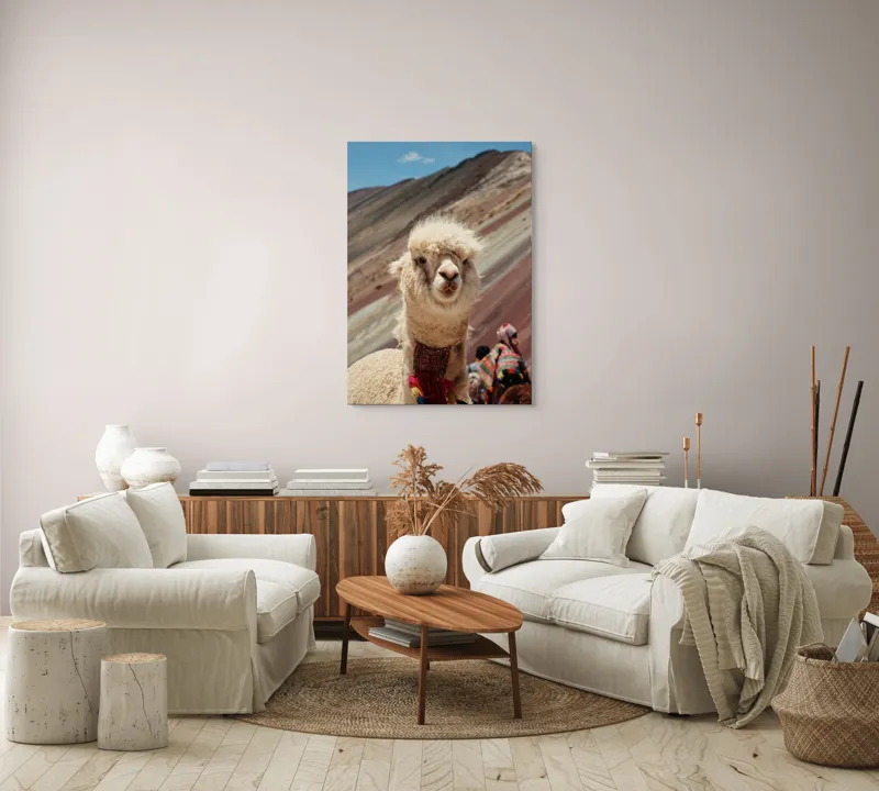 Tablou Canvas, "Alpaca la munte colorat inalt", 70 x 100 cm – poza 4