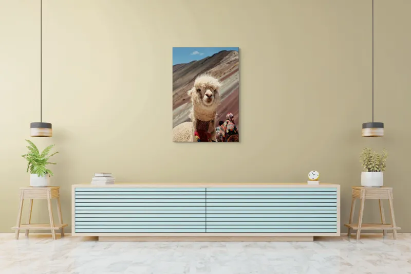 Tablou Canvas, "Alpaca la munte colorat inalt", 70 x 100 cm – poza 5