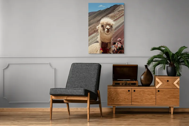 Tablou Canvas, "Alpaca la munte colorat inalt", 70 x 100 cm – poza 6