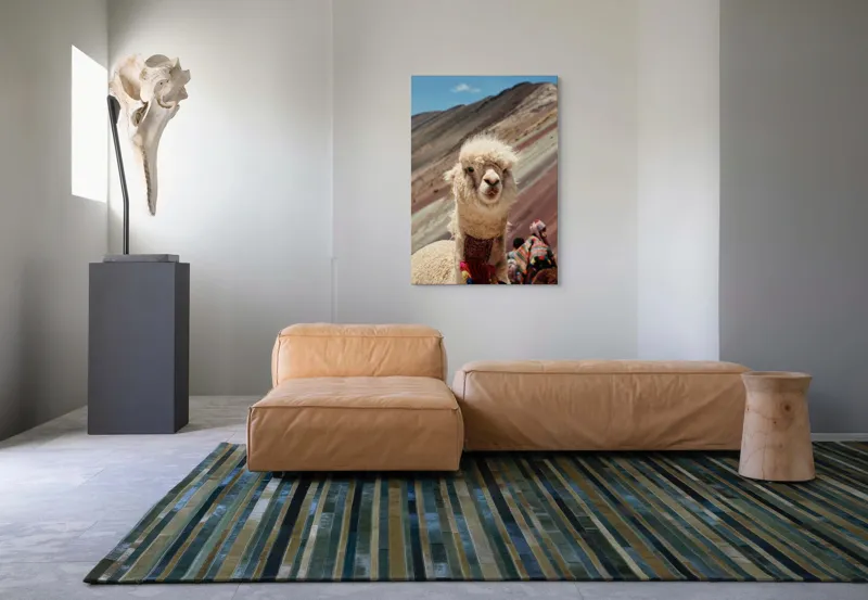 Tablou Canvas, "Alpaca la munte colorat inalt", 70 x 100 cm – poza 7