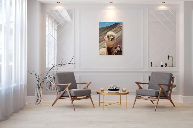 Tablou Canvas, "Alpaca la munte colorat inalt", 70 x 100 cm – poza 8