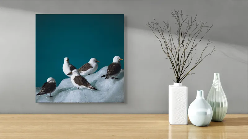 Tablou Canvas, "Pescăruși odihnindu-se pe gheață rece", Pescăruși, Gheață, Albastru, Natură, Pene, 50 x 50 cm – poza 3