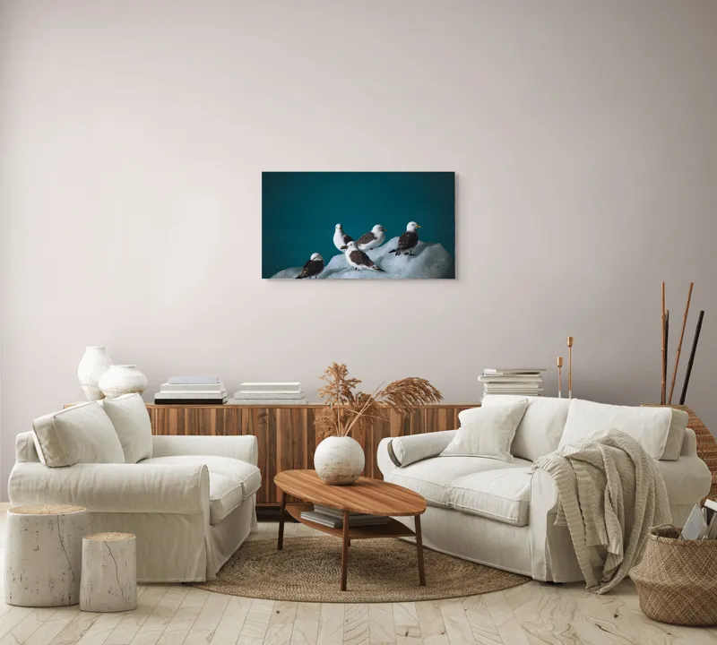 Tablou Canvas, "Pescăruși odihnindu-se pe gheață rece", Pescăruși, Gheață, Albastru, Natură, Pene, 90 x 50 cm – poza 4
