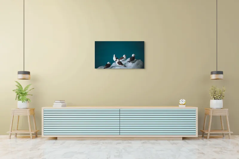 Tablou Canvas, "Pescăruși odihnindu-se pe gheață rece", Pescăruși, Gheață, Albastru, Natură, Pene, 90 x 50 cm – poza 5