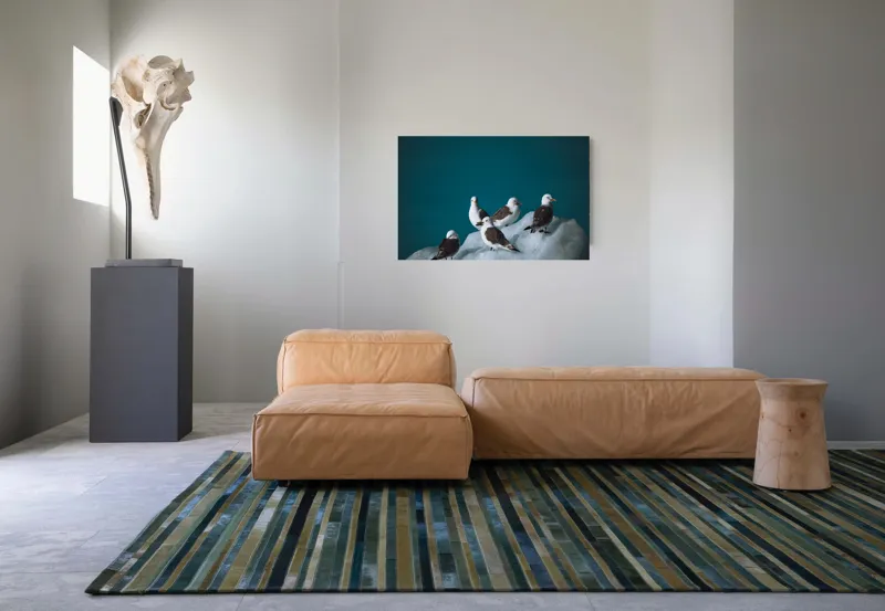Tablou Canvas, "Pescăruși odihnindu-se pe gheață rece", Pescăruși, Gheață, Albastru, Natură, Pene, 90 x 50 cm – poza 8