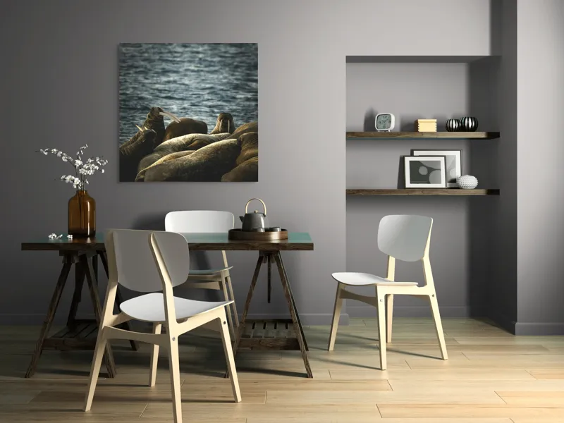 Tablou Canvas, "Grup de morse pe stânci la apus", Mari, Animale, Odihnă, Apă, Colți, Ocean, Grijă, Comunitate., 100 x 100 cm – poza 6