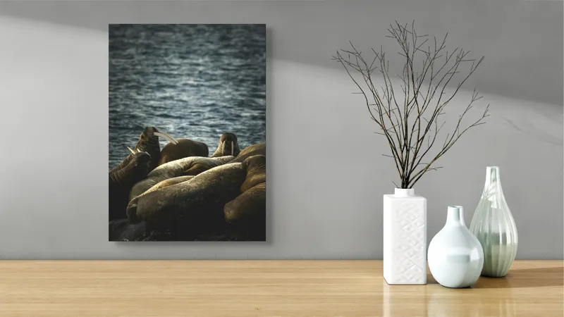 Tablou Canvas, "Grup de morse pe stânci la apus", Mari, Animale, Odihnă, Apă, Colți, Ocean, Grijă, Comunitate., 39 x 54 cm – poza 4
