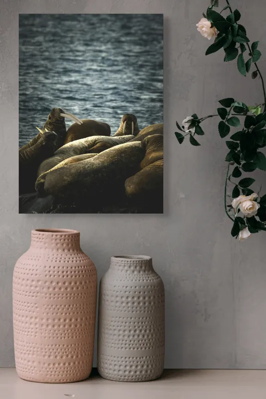 Tablou Canvas, "Grup de morse pe stânci la apus", Mari, Animale, Odihnă, Apă, Colți, Ocean, Grijă, Comunitate., 39 x 54 cm – poza 6