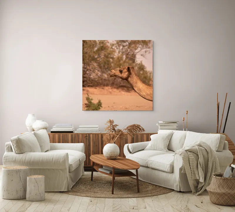 Tablou Canvas, "Cămila în deșertul arid al-amiezii", 100 x 100 cm – poza 3