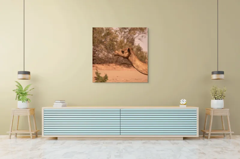Tablou Canvas, "Cămila în deșertul arid al-amiezii", 100 x 100 cm – poza 5