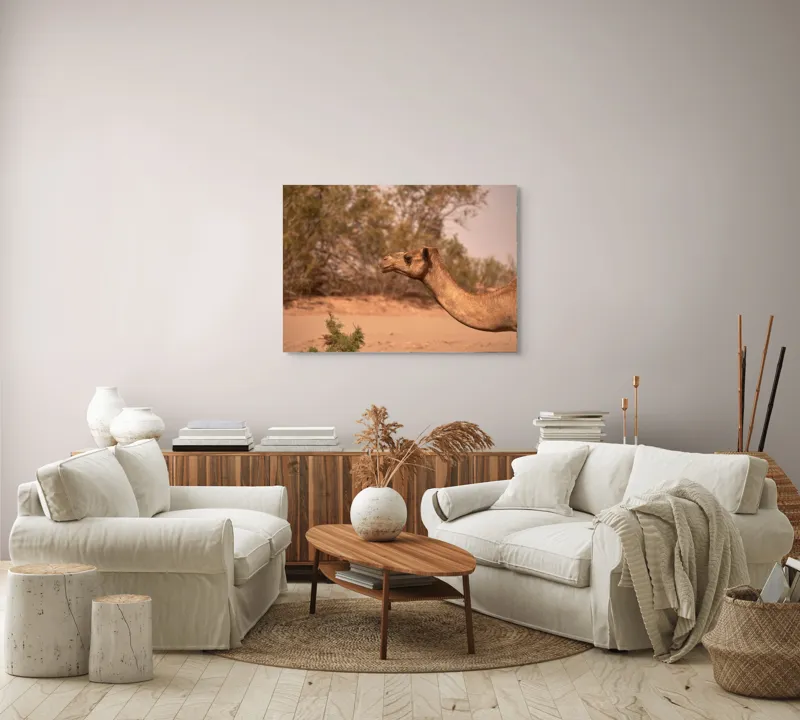 Tablou Canvas, "Cămila în deșertul arid al-amiezii", 100 x 70 cm – poza 3