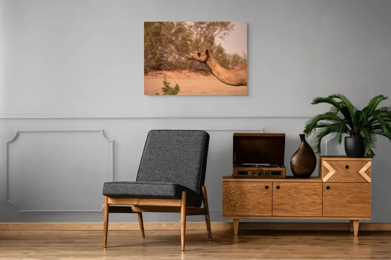Tablou Canvas, "Cămila în deșertul arid al-amiezii", 100 x 70 cm – poza 8