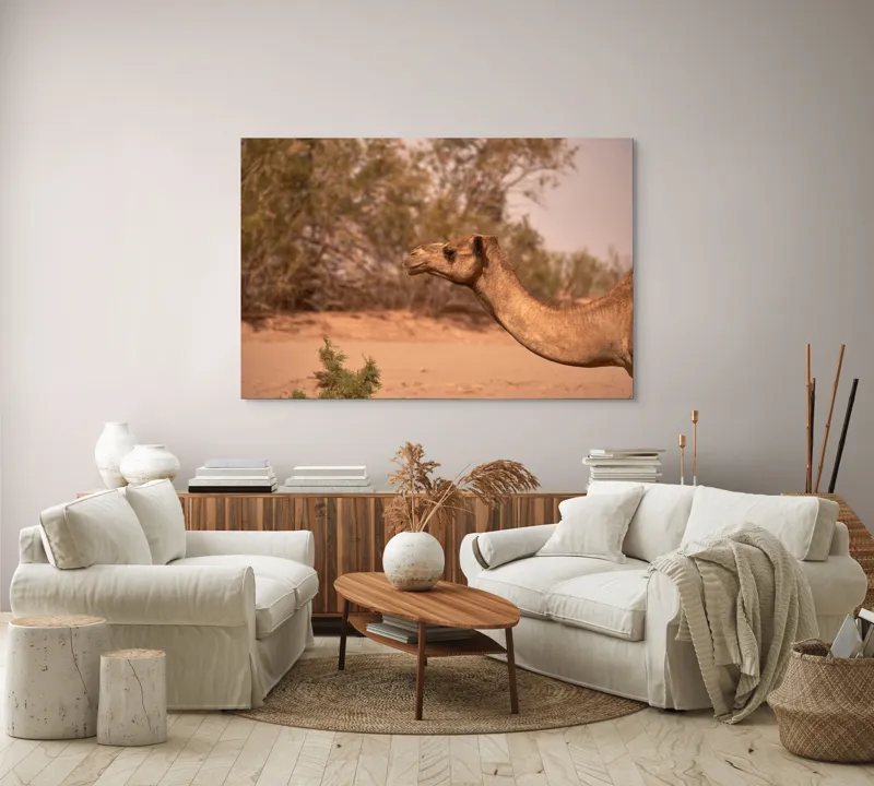 Tablou Canvas, "Cămila în deșertul arid al-amiezii", Nu știu cine este în imagine., 150 x 100 cm – poza 3
