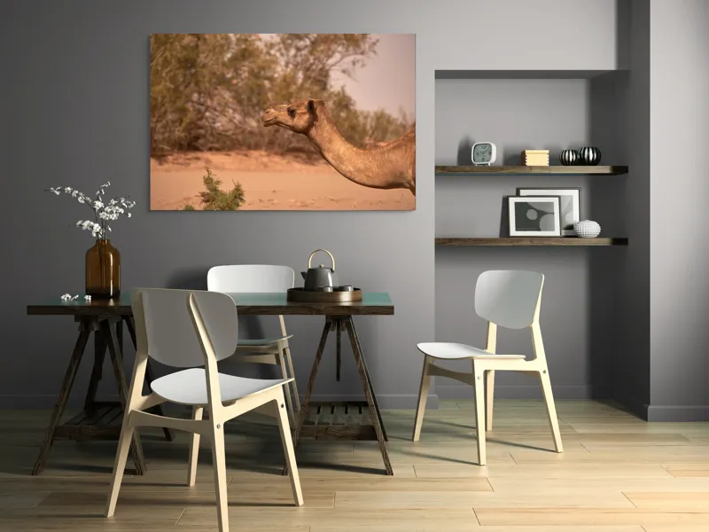Tablou Canvas, "Cămila în deșertul arid al-amiezii", Nu știu cine este în imagine., 150 x 100 cm – poza 5