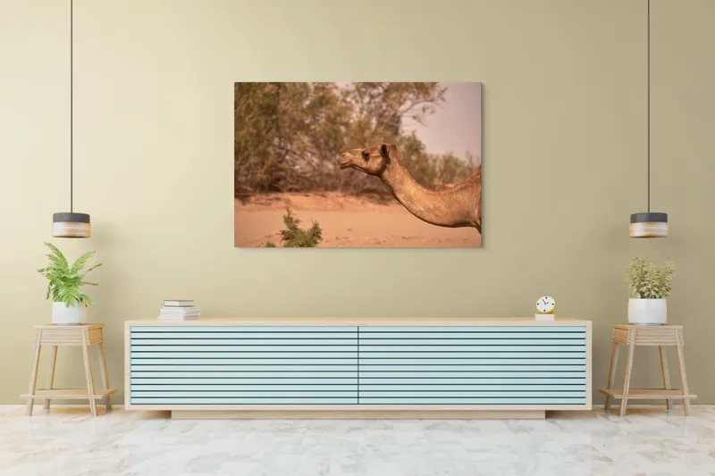 Tablou Canvas, "Cămila în deșertul arid al-amiezii", Nu știu cine este în imagine., 150 x 100 cm – poza 6