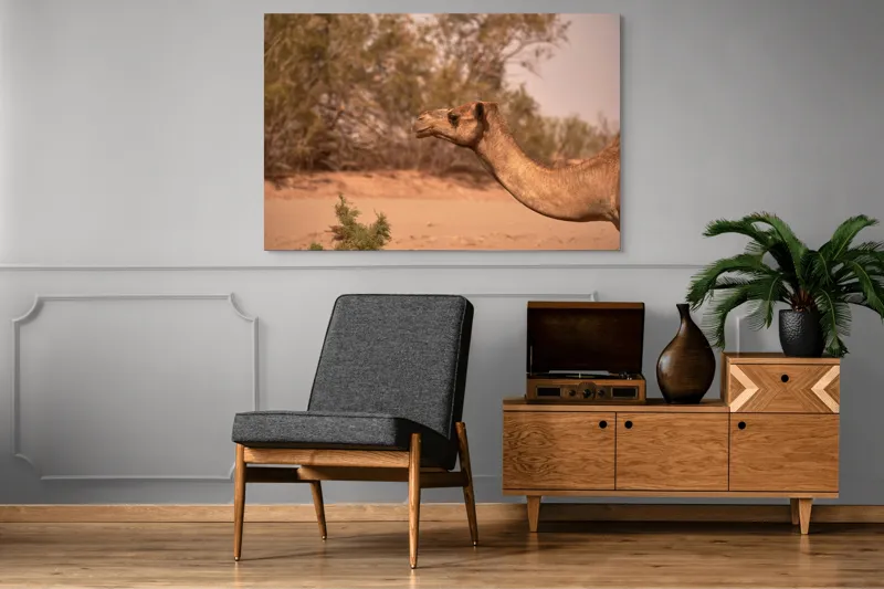 Tablou Canvas, "Cămila în deșertul arid al-amiezii", Nu știu cine este în imagine., 150 x 100 cm – poza 8