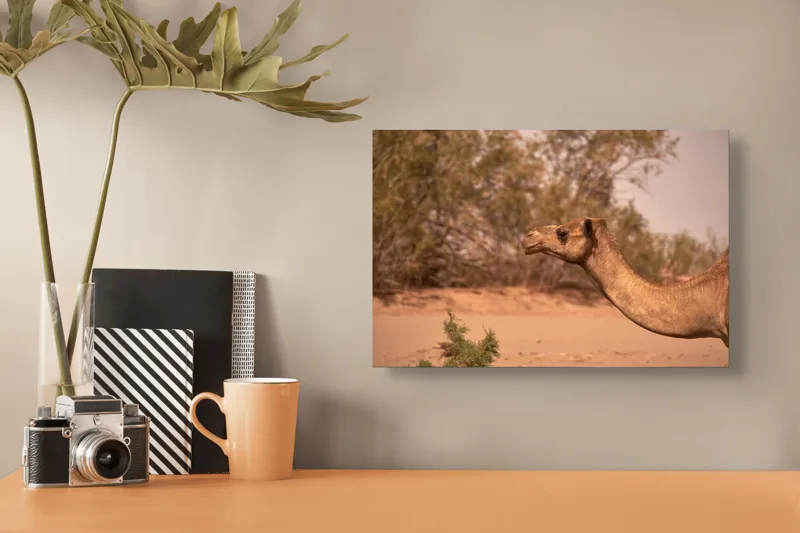 Tablou Canvas, "Cămila în deșertul arid al-amiezii", 39 x 26 cm – poza 3