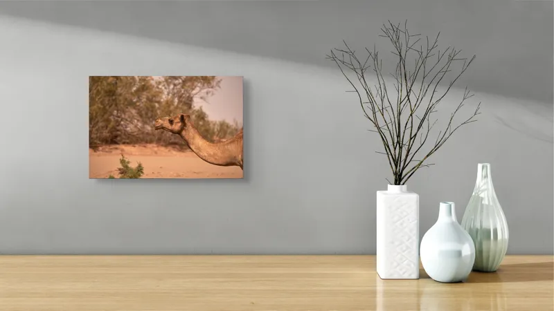 Tablou Canvas, "Cămila în deșertul arid al-amiezii", 39 x 26 cm – poza 8