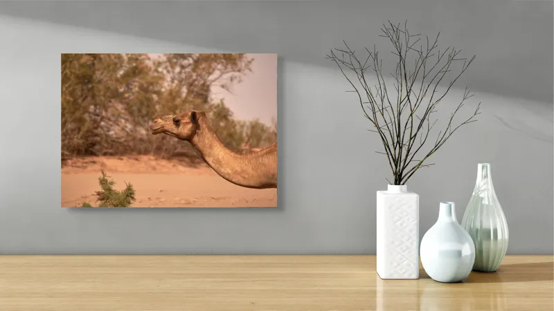 Tablou Canvas, "Cămila în deșertul arid al-amiezii", 54 x 39 cm – poza 3