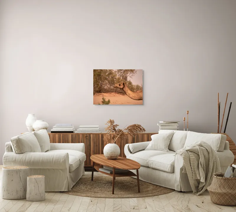Tablou Canvas, "Cămila în deșertul arid al-amiezii", 70 x 50 cm – poza 6