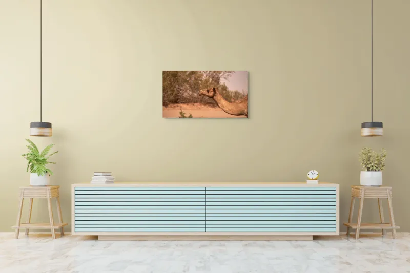Tablou Canvas, "Cămila în deșertul arid al-amiezii", 90 x 50 cm – poza 5